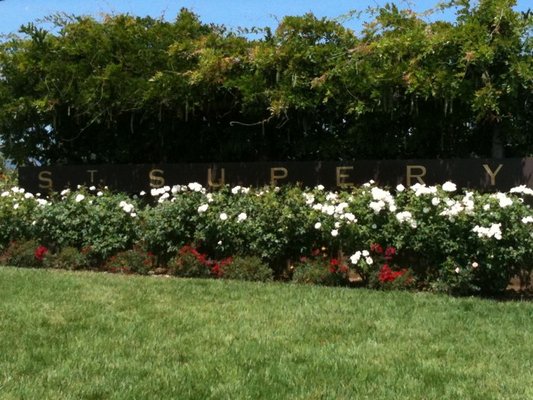 st-supery5 st supery5 10 Family Friendly Wineries in Napa Valley