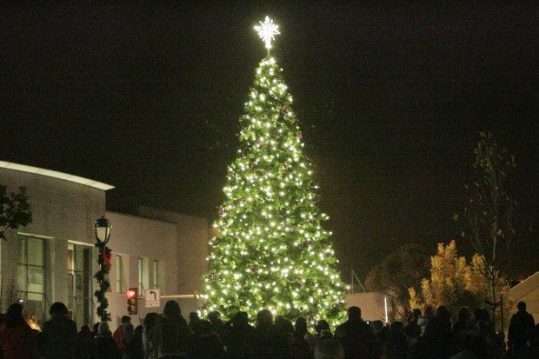 celebrating the holidays in napa valley napa wine tours celebrating the holidays in napa valley napa wine tours
