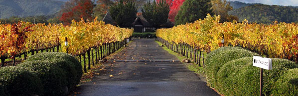 Entering Goosecross Cellars