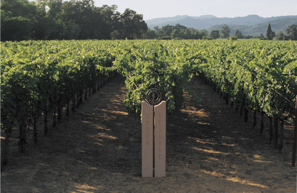 The Thriving Vineyards of Groth Vineyards & Winery Located in the Oakville AVA