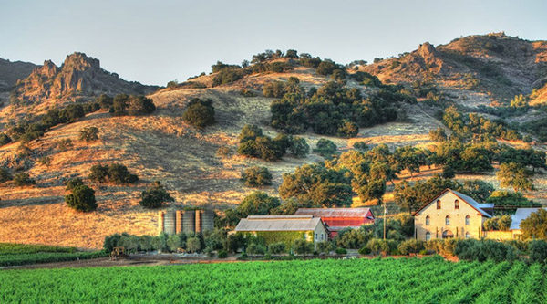 Regusci Winery in Stags Leap District